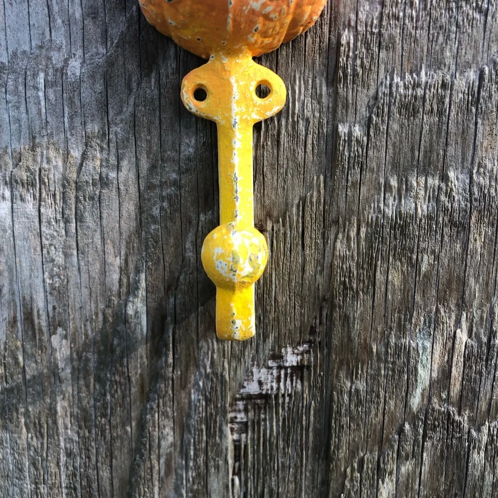 Upcycled Pink Orange and Yellow Cast Iron Owl Hook